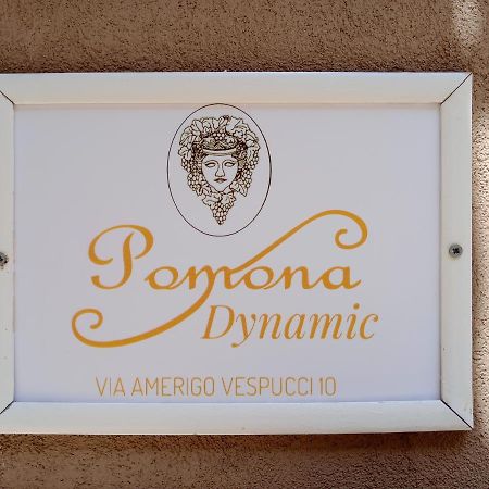 Pomona Dynamic Noto Exterior photo