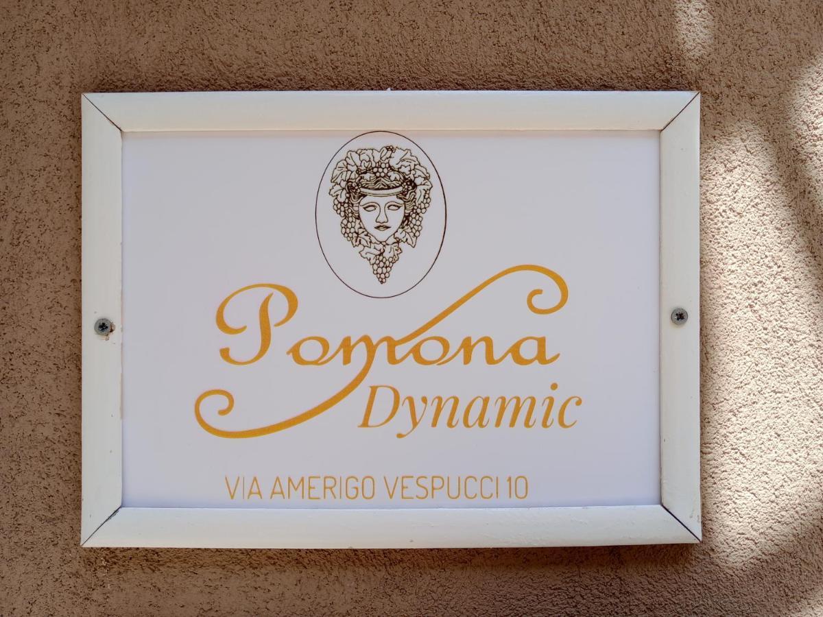 Pomona Dynamic Noto Exterior photo